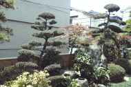 最新施工例