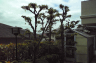 最新施工例