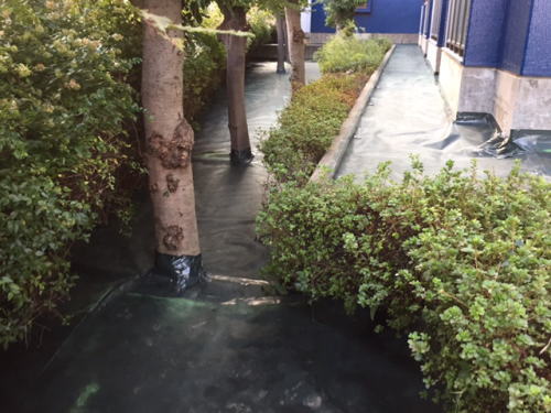 防草工事施工後写真