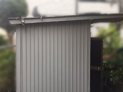 小屋撤去前