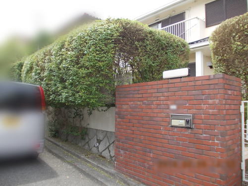 高槻市A様邸 生垣撤去前