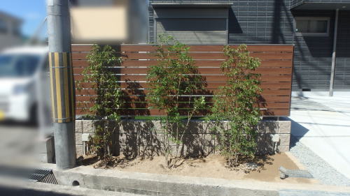大阪府摂津市 前庭に植栽移植