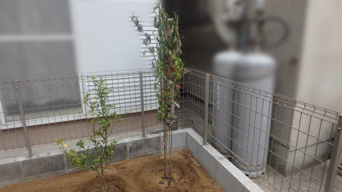 大阪府守口市新築外構