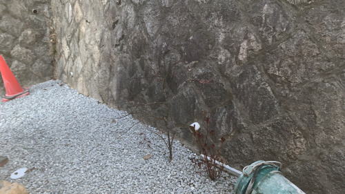 大阪高槻 建物周囲 植木移植