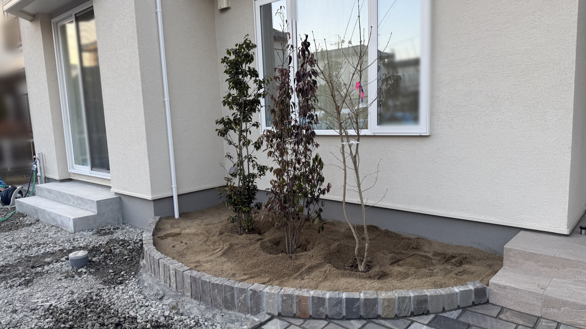 高槻市K様邸 植木仮移植 アオダモ 常緑ヤマボウシ ソヨゴ