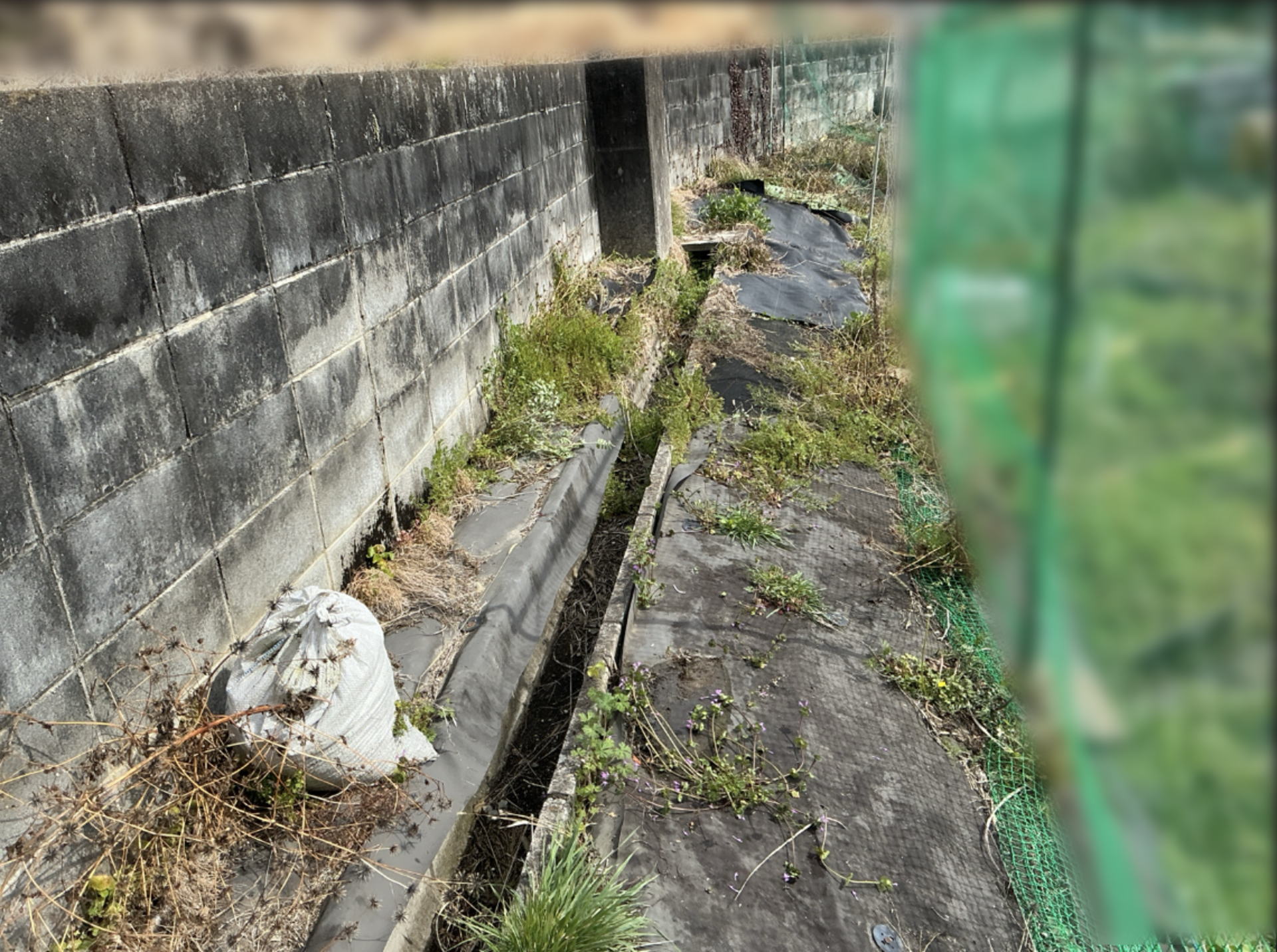 高槻市T様邸 防草工事前