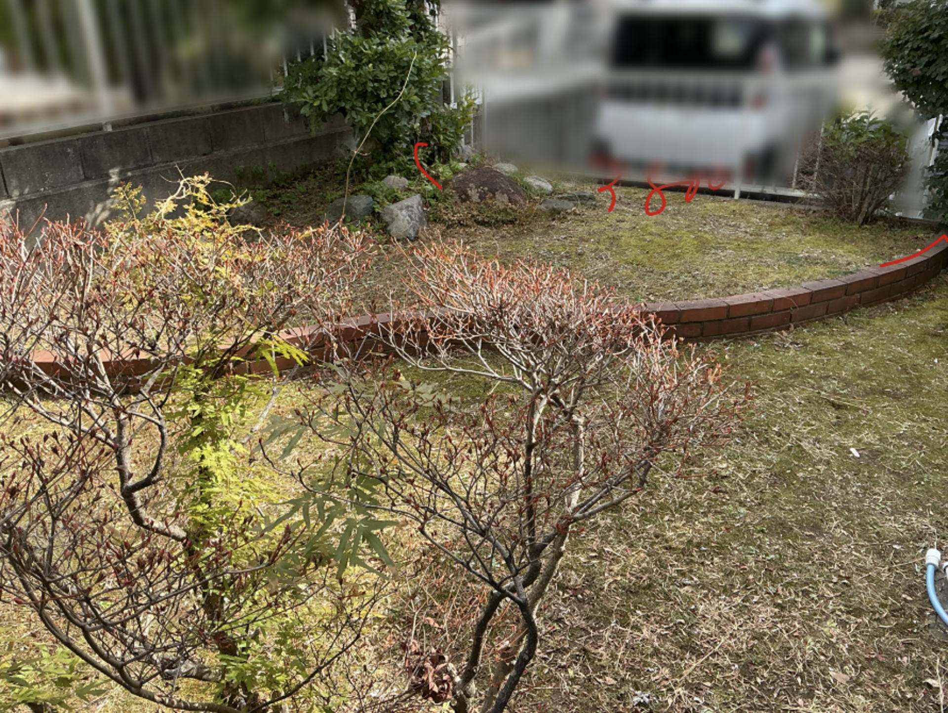 高槻市S様邸 お庭 カースペース拡張前